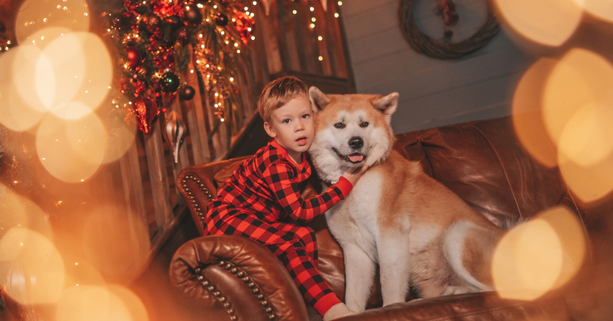 The Best Christmas Movies to Watch with Your Pets